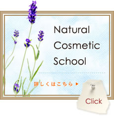 natural cosmetic school